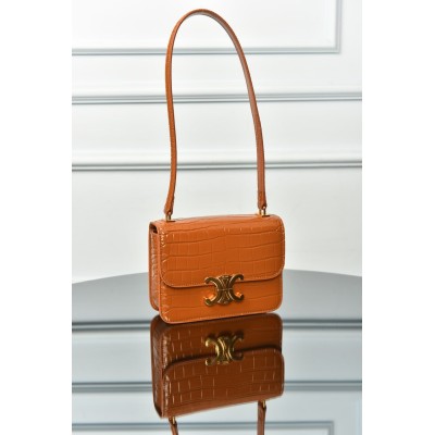 Celine Teen Garance Bag in Alligator Mini