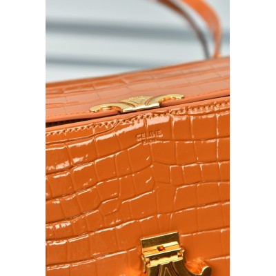 Celine Teen Garance Bag in Alligator Small