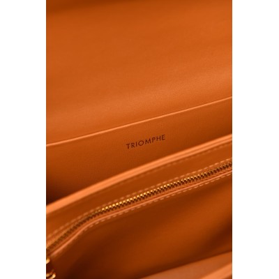 Celine Teen Garance Bag in Alligator Small