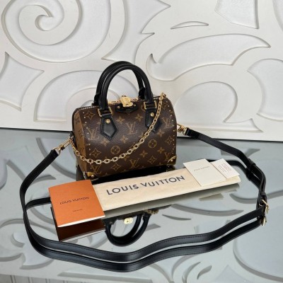 Louis Vuitton Speedy Trunk 20