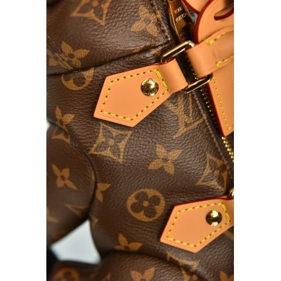 Louis Vuitton Pooch Bag