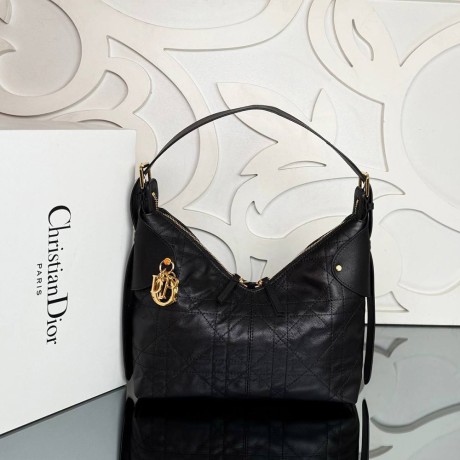 Dior Voyage Medium Bag