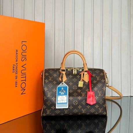 Louis Vuitton Speedy Soft 30