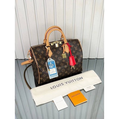 Louis Vuitton Speedy Soft 30
