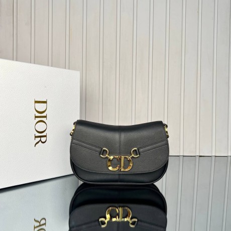 Dior CD Besace Bag