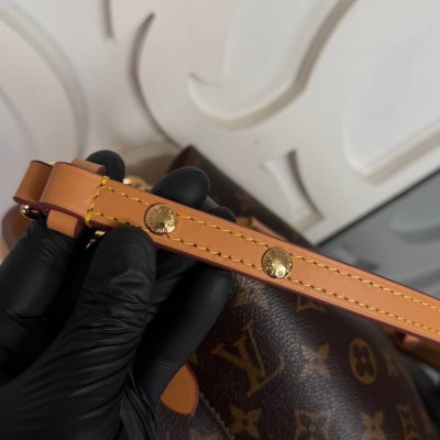 Louis Vuitton NeoNoe BB Bucket Bag