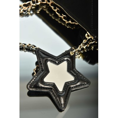 Chanel Small Zippered Clutch