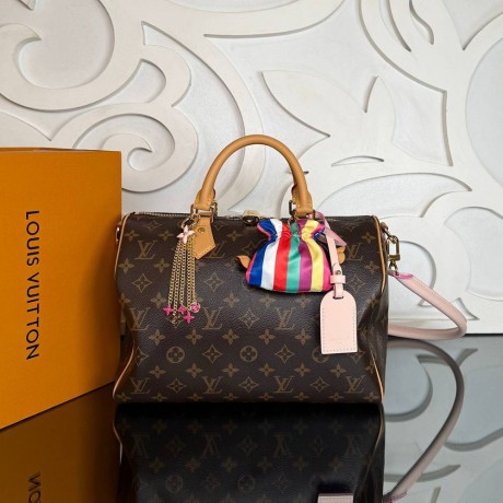 Louis Vuitton Speedy Soft 30