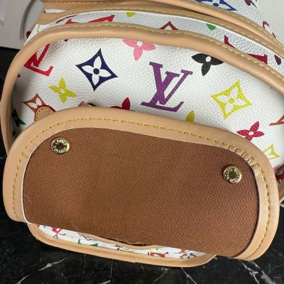Louis Vuitton Dog Bag