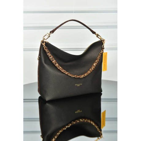 Louis Vuitton Multipass