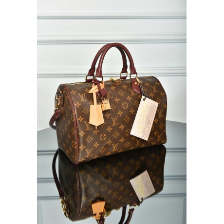 Louis Vuitton Speedy Soft 30