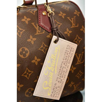 Louis Vuitton Speedy Soft 30