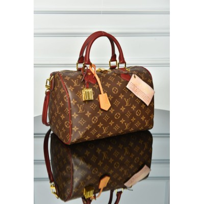 Louis Vuitton Speedy Soft 30