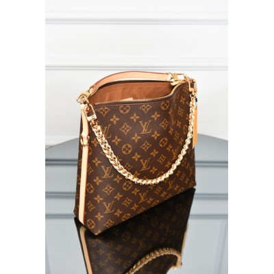 Louis Vuitton Multipass