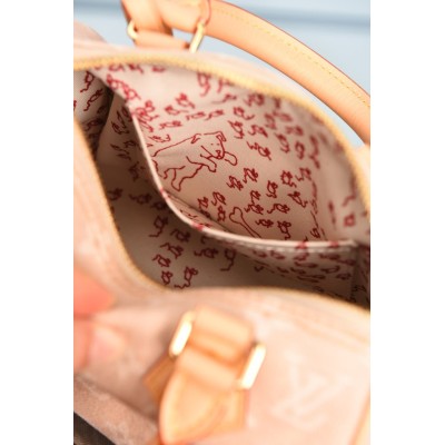 Louis Vuitton Speedy Bandouliere 20