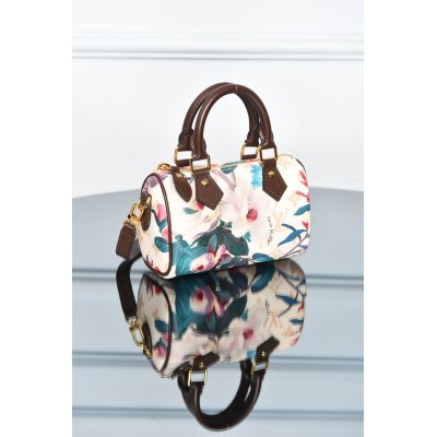 Louis Vuitton Nano Speedy