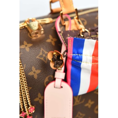 Louis Vuitton Speedy Soft 30