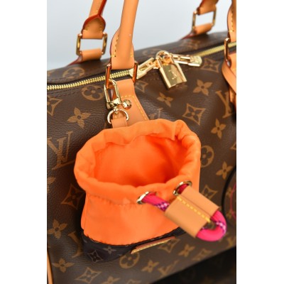 Louis Vuitton Speedy Soft 30