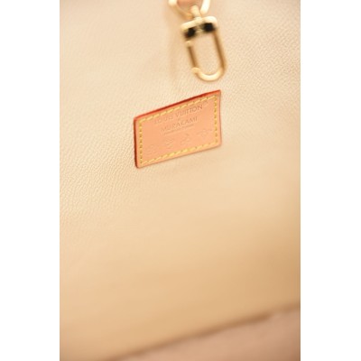 Louis Vuitton LV x TM Neverwoof Dog Bag