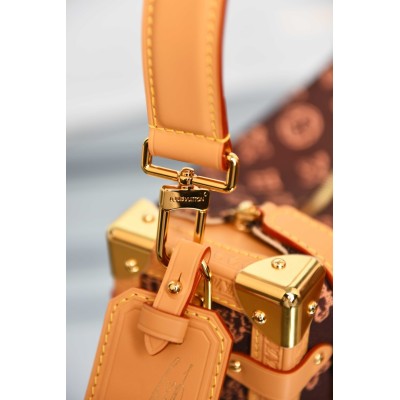 Louis Vuitton Side Trunk MM