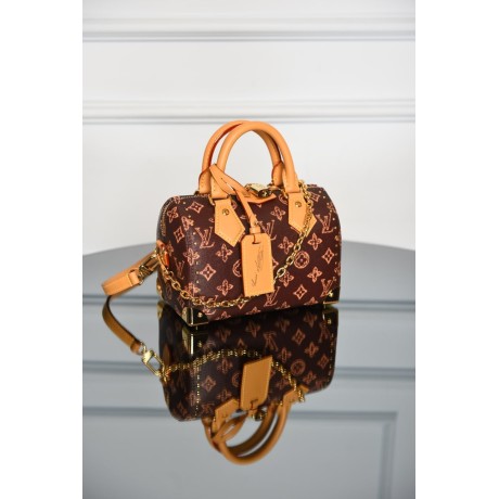 Louis Vuitton Speedy Trunk 20