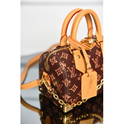 Louis Vuitton Speedy Trunk 20