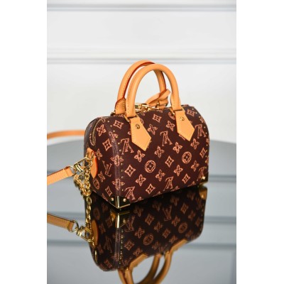 Louis Vuitton Speedy Trunk 20