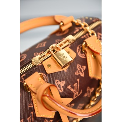 Louis Vuitton Speedy Trunk 20