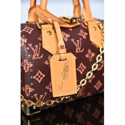 Louis Vuitton Speedy Trunk 20