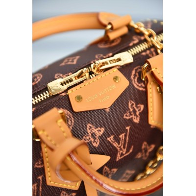 Louis Vuitton Speedy Trunk 20