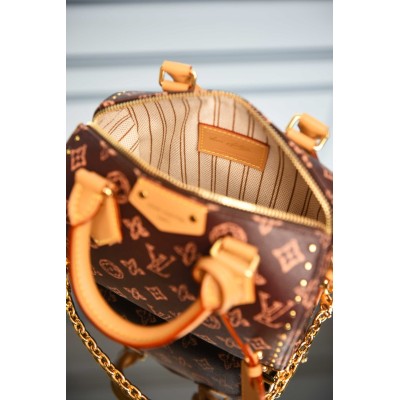 Louis Vuitton Speedy Trunk 20