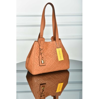 Louis Vuitton All in One PM