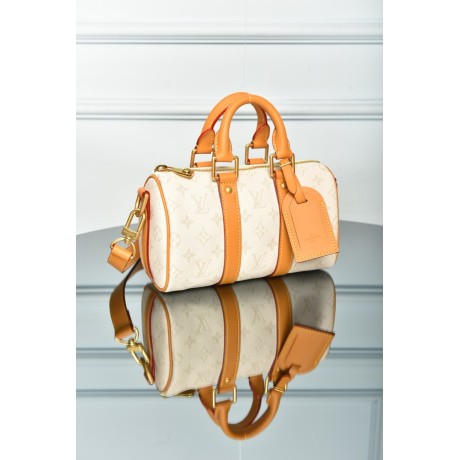 Louis Vuitton Speedy 25