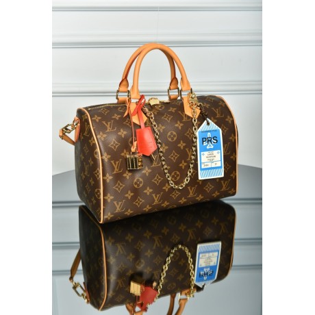 Louis Vuitton Speedy Soft 30
