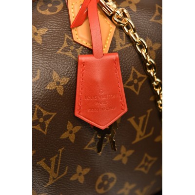 Louis Vuitton Speedy Soft 30