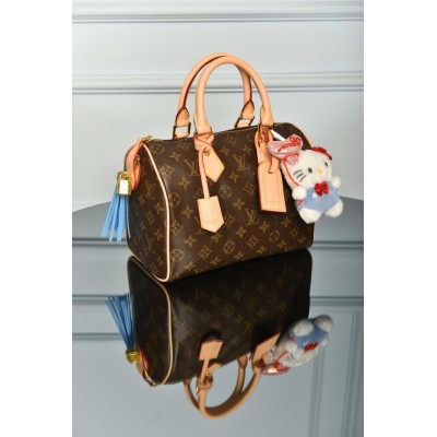 Louis Vuitton Speedy 25