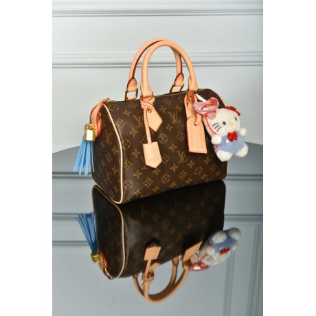 Louis Vuitton Speedy 25