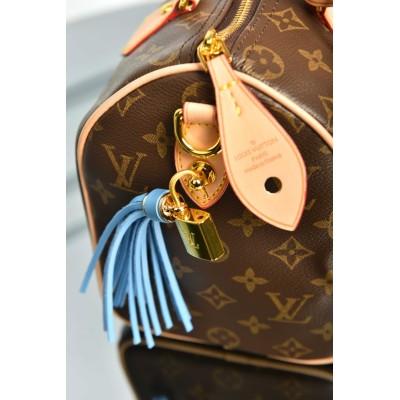 Louis Vuitton Speedy 25